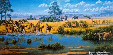 Animales prehistóricos parte 3: el Mioceno   Taringa!