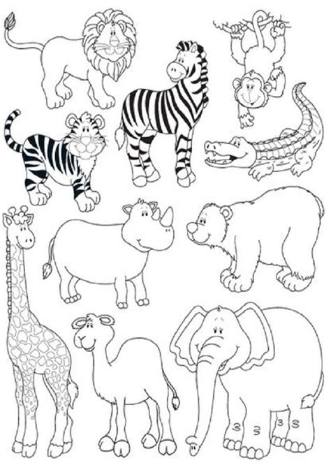 Animales salvajes   Dibujos para colorear
