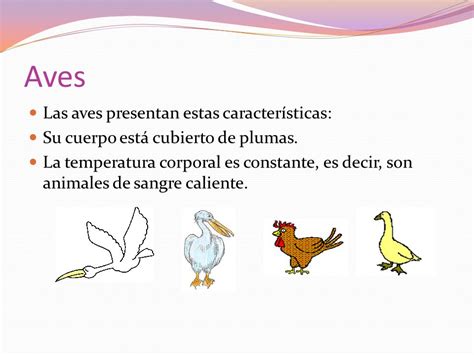 Animales Vertebrados Mamíferos Aves Peces.   ppt video ...