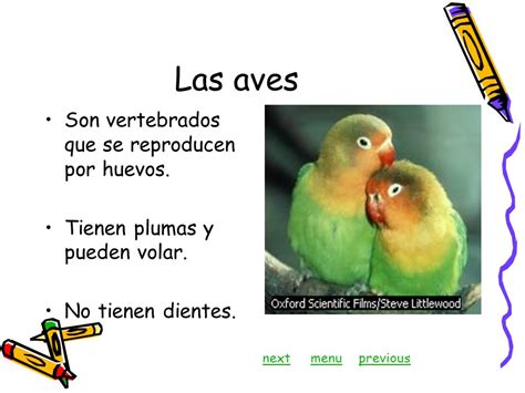 Animales vertebrados Sra. Silvia Martínez next.   ppt ...