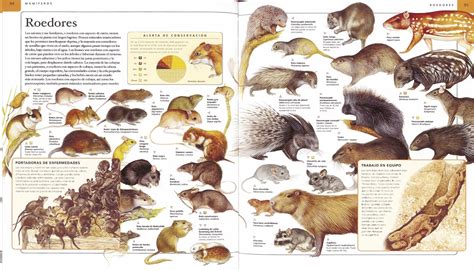 Animales y Naturaleza   Venta de libros   Susaeta ...