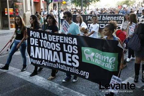 AnimaNaturalis se manifiesta en Valencia contra el ...
