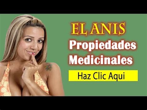 Anis Propiedades Medicinales, Beneficios Curativos del ...