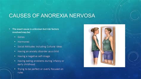 Anorexia Nervosa Causes | www.pixshark.com Images ...