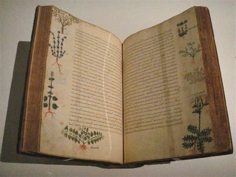 Antiguos manuales de medicina: ¿Fuente de nuevos avances ...