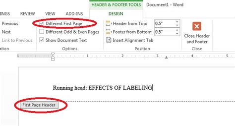 Apa research paper running head