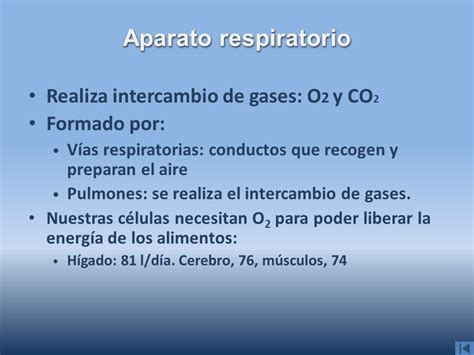 Aparato respiratorio.   ppt video online descargar