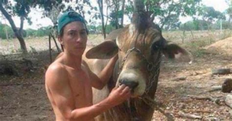 Apareció un unicornio en Brasil | El Diario 24