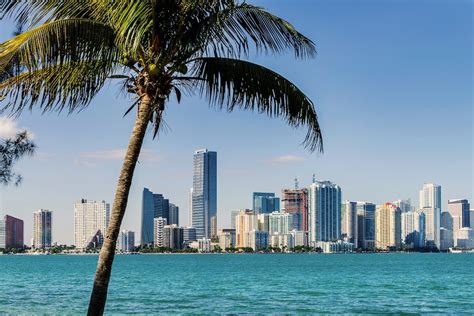 Apartamentos y villas en Miami baratos | Holidu