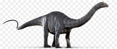 Apatosauro Dinosaurio Diplodocus Gallimimus ...