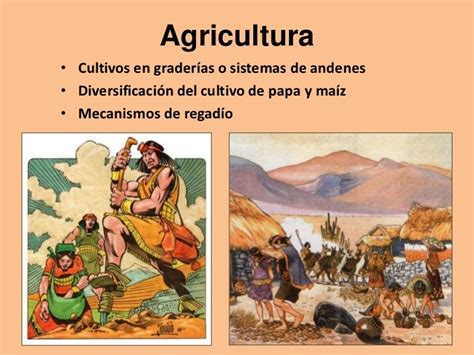 Aportes de la cultura inca
