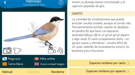 Apps que hablan español: la enciclopedia de aves más completa