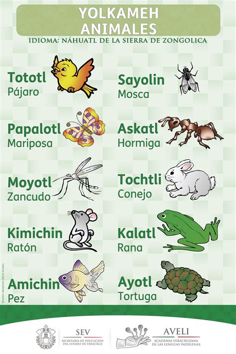 Aprendamos Nahuatl de Zongolica