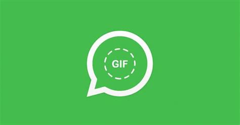 Aprende a crear y descargar GIFs para WhatsApp con esta app
