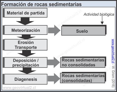 Apuntes Geología: Introducción a la Sedimentología