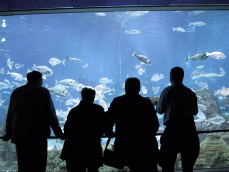 Aquarium Barcelona, Catalonia | Informations and image ...