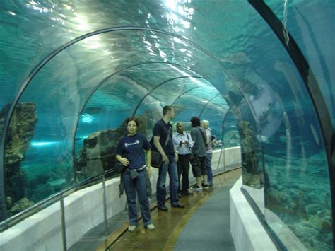 Aquarium Barcelona, Catalonia | Informations and image ...