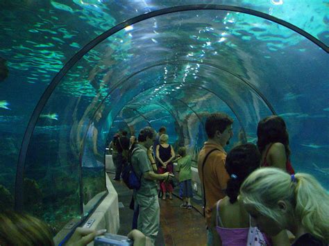 Aquarium Barcelona | Guía de Barcelona