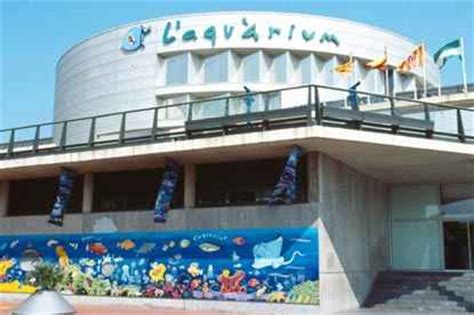 Aquarium de Barcelona | Barcelona | Escapada en familia ...