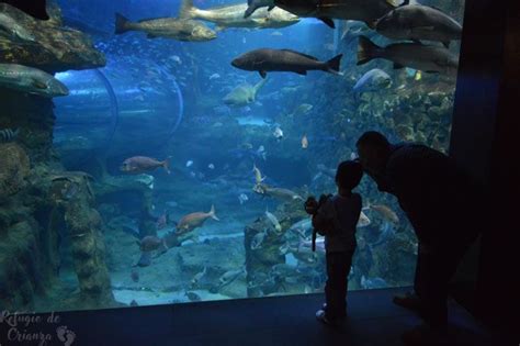 Aquarium de Donostia San Sebastián. Palacio del mar ...
