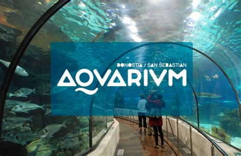 Aquarium de San Sebastián   Actio Procesos & Tecnología