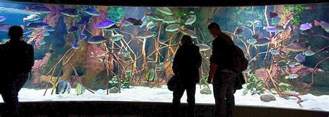 Aquarium de San Sebastián   Donostia   Horario, precio ...