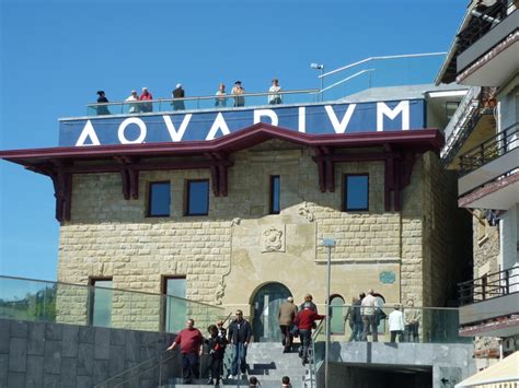 Aquarium de San Sebastián Ketari en Nirudia