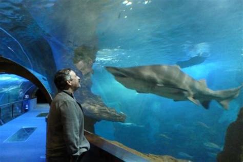 Aquarium de San Sebastian.   Picture of Aquarium Donostia ...