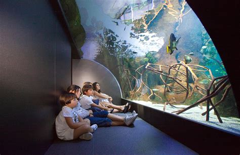 Aquarium Donostia  San Sebastián   Musées à Hendaye