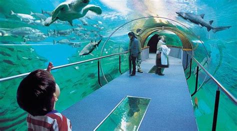 Aquarium   Palacio del Mar: musées à Saint Sébastien ...