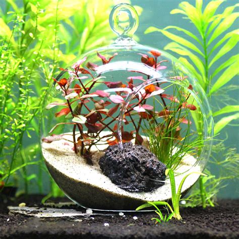 aquarium water plants micro landscape glass ball for fish ...