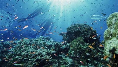 Aqui conoceras los bellos paisajes marinos del mundo ...