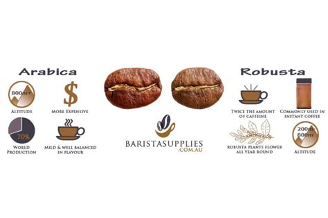 Arabica Coffee Beans vs Robusta Coffee Beans. What’s the ...