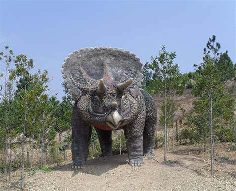 Archivo:Gondava triceratops.JPG   Wikipedia, la ...