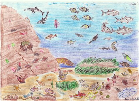 Archivo:Mar Mediterráneo fauna.jpg   Wikipedia, la ...