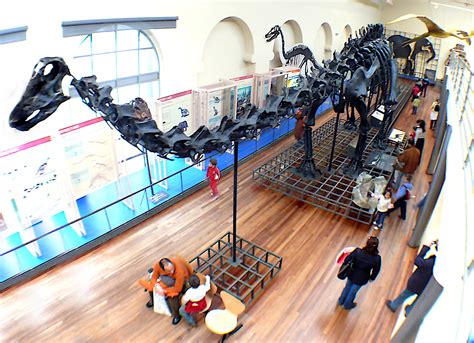 Archivo:Museo Nacional de Ciencias Naturales  Madrid  Sala ...