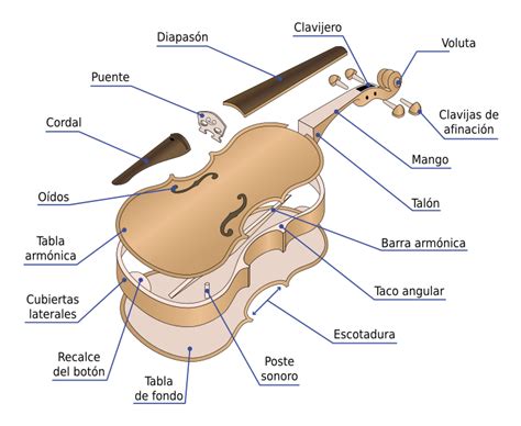 Archivo:Partes del Violin.svg   Wikipedia, la enciclopedia ...