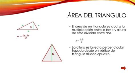 Area y perimetro de triangulos y cuadrilateros