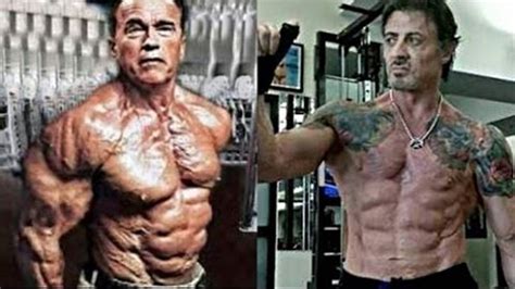 Arnold Schwarzenegger And Sylvester Stallone Body | www ...