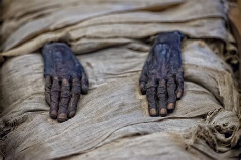 Arqueólogos hallan más de un millón de momias en una ...
