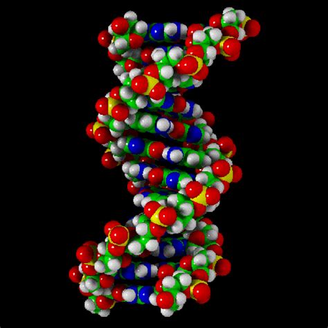 Artículos Web » » Entre Biología y Genética Molecular una ...