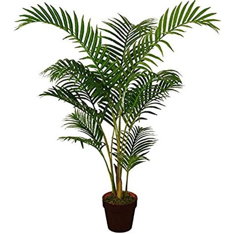 Artificial Indoor Plants Trees: Amazon.co.uk