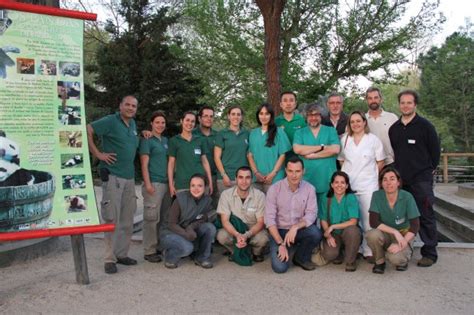 Artificial Insemination @ Zoo Madrid
