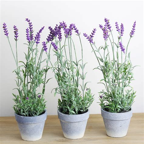 artificial lavender plant in pot by marquis & dawe ...