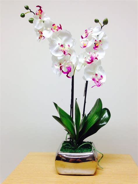 Artificial Potted Plant 56cm Large Orchid White Flowers In ...