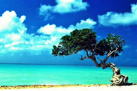 Aruba | paradiseintheworld.com
