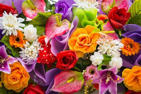 As 14 flores mais populares em inglês   Blog da English Live