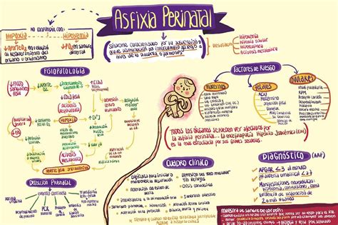 Asfixia perinatal Fuente:Neonatologia en esquemas Facebook ...