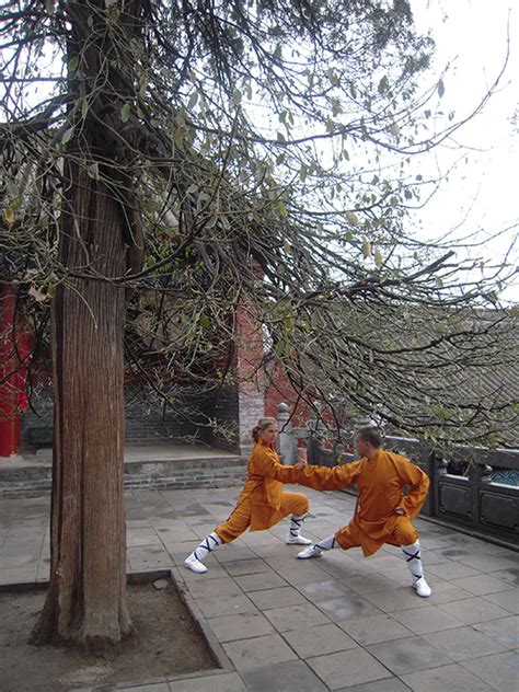 Asociación Internacional Shaolin Chan en Sudamérica ...