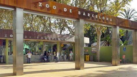 Asociaciones animalistas denuncian al zoo de Barcelona por ...